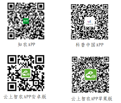 1590722717108569.png image.png